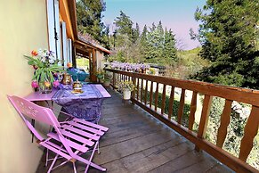 B&B Glicine