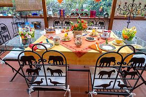 B&B Glicine