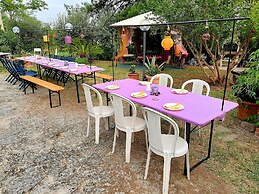 B&B Glicine
