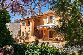 B&B Glicine