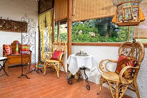 B&B Glicine