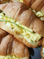 Gorgeous Gecko Guesthouse