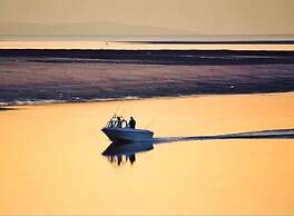 Superb Cintra Apartments