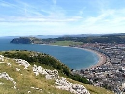 Superb Cintra Apartments