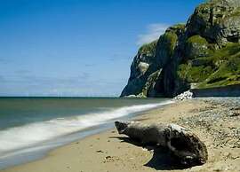 Superb Cintra Apartments