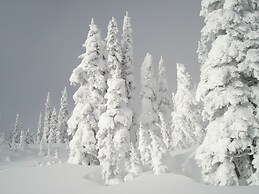 Blue River Cabins Campground & RV Park