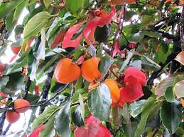 Quinta Vale do Homem