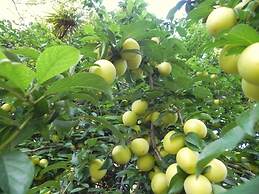 Quinta Vale do Homem