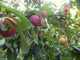 Quinta Vale do Homem