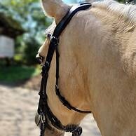 Hotel Gut Moschenhof