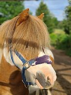 Hotel Gut Moschenhof