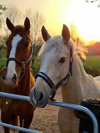 Hotel Gut Moschenhof