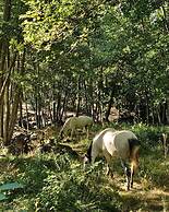 Hotel Ribera del Corneja