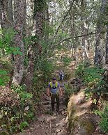 Hotel Ribera del Corneja