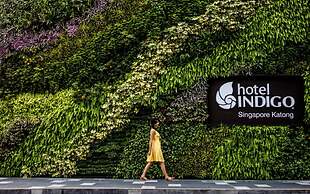 Hotel Indigo Singapore Katong  by IHG