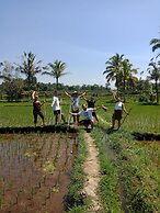 Ubud Sawah Homestay