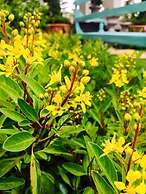 Koranaree Courtyard Boutique Hotel