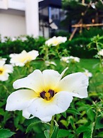 Koranaree Courtyard Boutique Hotel