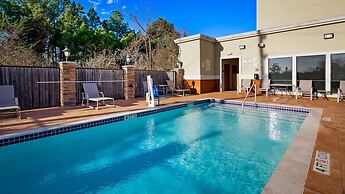 Best Western Plus Spring Inn & Suites