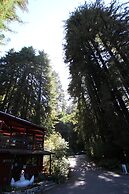 Fern River Resort