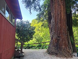 Fern River Resort