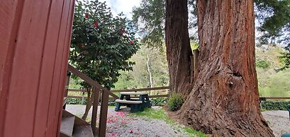 Fern River Resort