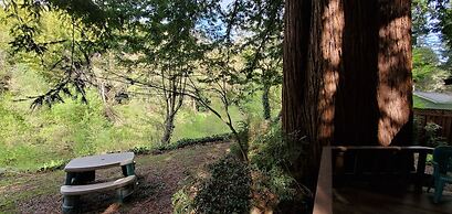 Fern River Resort