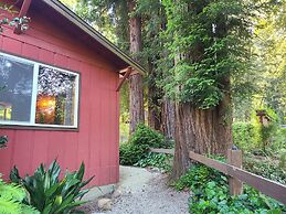 Fern River Resort
