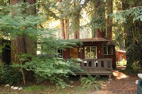 Fern River Resort