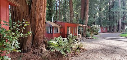 Fern River Resort