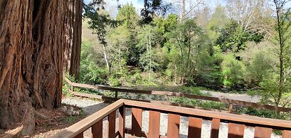 Fern River Resort