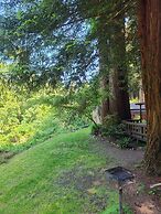 Fern River Resort