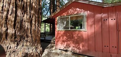Fern River Resort