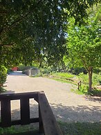 Fern River Resort