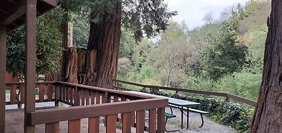 Fern River Resort