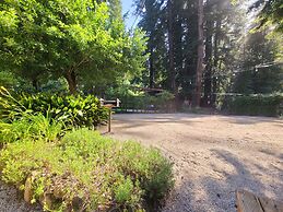 Fern River Resort