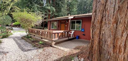 Fern River Resort