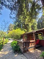 Fern River Resort