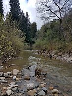 Fern River Resort