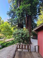 Fern River Resort