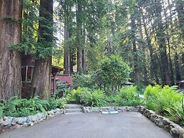 Fern River Resort
