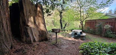 Fern River Resort