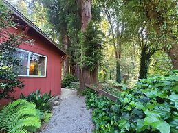 Fern River Resort