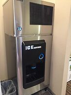 Cobblestone Inn & Suites - Holstein