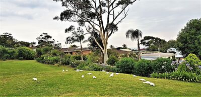 Mollymook Ocean View Motel Reward Long Stays - Over 18's Only