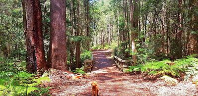 Mollymook Ocean View Motel Reward Long Stays - Over 18's Only