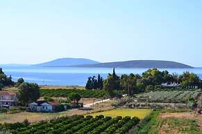 Alexandros Apartments