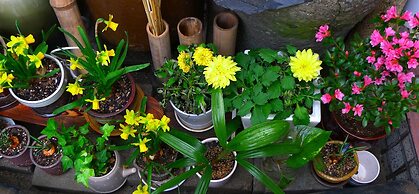 HanOK Guest House 201