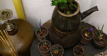 HanOK Guest House 201