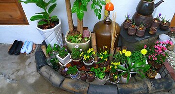 HanOK Guest House 202